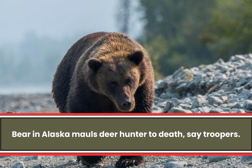 Bear in Alaska mauls deer hunter to death, say troopers.