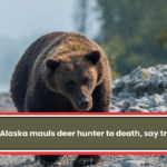 Bear in Alaska mauls deer hunter to death, say troopers.