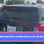 Help is being asked for by Hayward police in a hit-and-run incident.