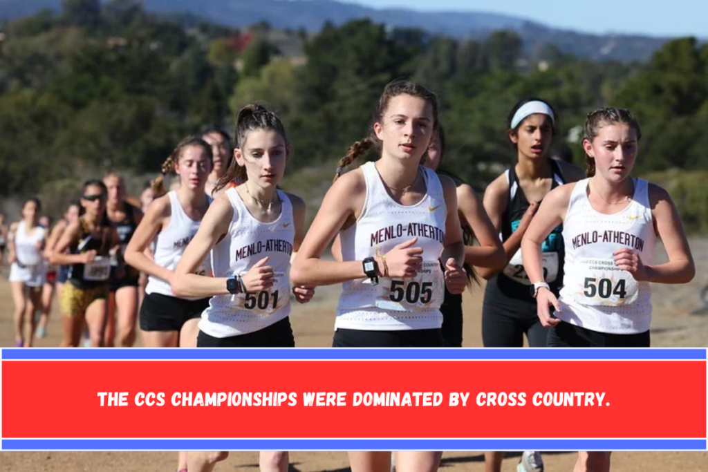 The CCS championships were dominated by cross country.