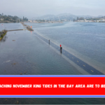 The approaching November King Tides in the Bay Area are to be expected.