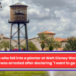 Woman who fell into a planter at Walt Disney World while drunk was arrested after declaring "I want to go to jail"